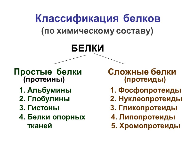 Классификация белков           (по химическому